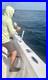Bluefin-Tuna-Boat-Rod-Holder-Pole-Assist-Leverage-Support-Bar-Dev-Fishing-01-fjs