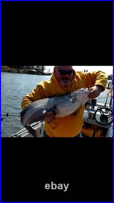 Fish Bite rodholders set of 6, with mounting BLOCKS. And free ship