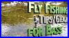 Fly-Fishing-Bass-Tips-Techniques-And-Gear-01-dnj