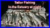 How-To-Catch-Tailor-In-The-Estuary-At-Night-01-eca