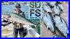 May-Fishing-Bluefin-Tuna-Sportfishing-San-Diego-Yellowtail-Baja-Lingcod-Northern-California-01-hc