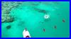 Ultra-Shallow-Pack-Attacks-And-Jigging-The-Great-Barrier-Reef-01-bas